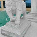 定西 白麻花岗岩动物异形石雕-大象