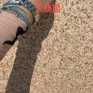 定西黄金麻火烧面