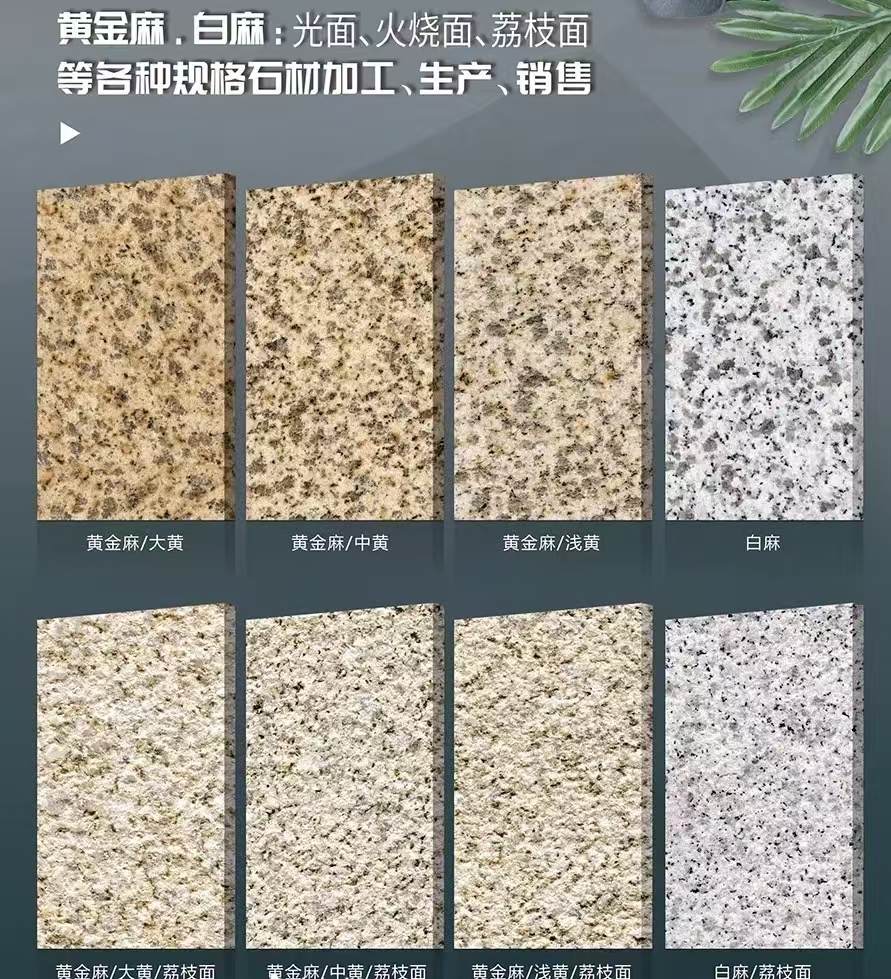 定西 黄金麻白麻样品展示