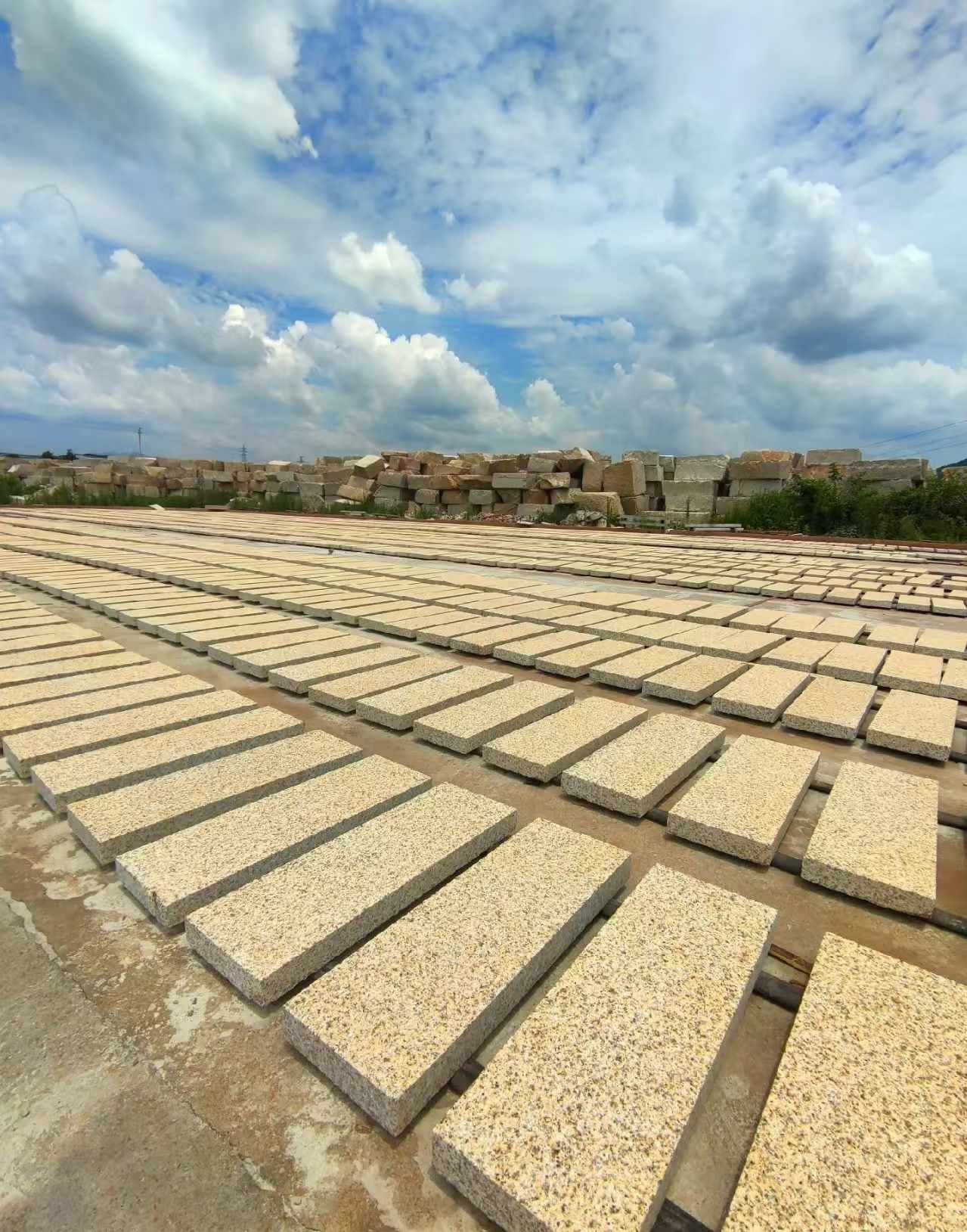 定西 黄金麻荔枝面花岗岩石材地铺石防护中
